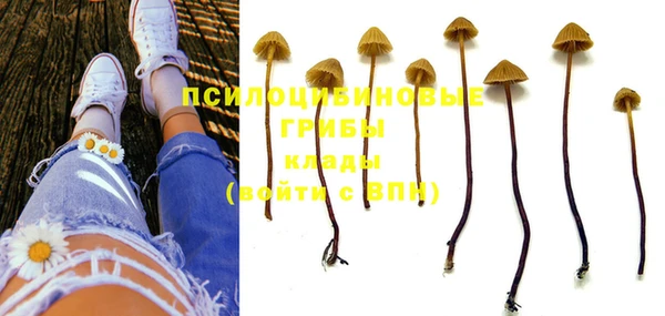 прущие крисы Карпинск