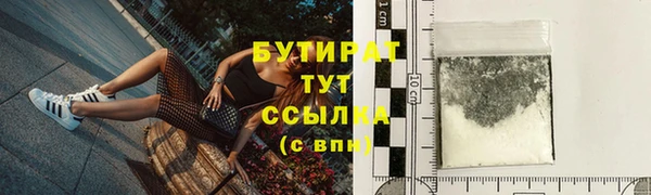 сатива Каменка