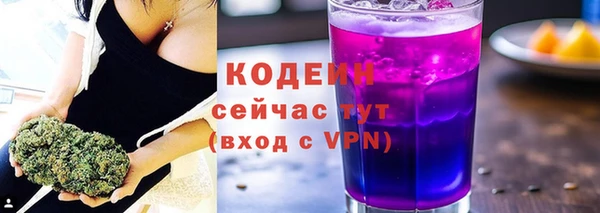 сатива Каменка