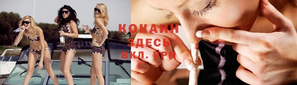 сатива Каменка