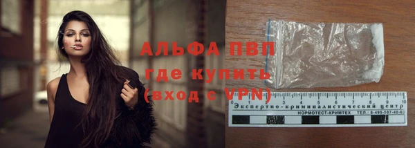 сатива Каменка