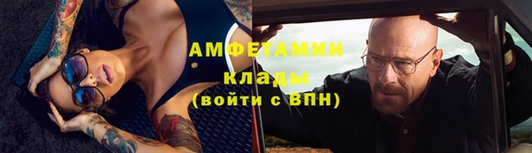 сатива Каменка