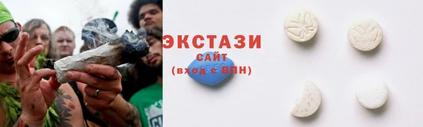 сатива Каменка