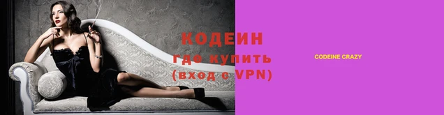 сатива Каменка