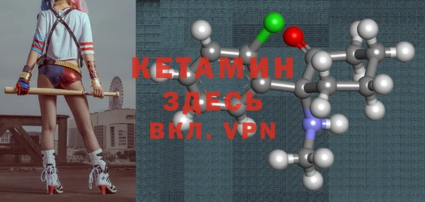 сатива Каменка