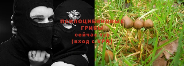 гидропоника Каменск-Шахтинский