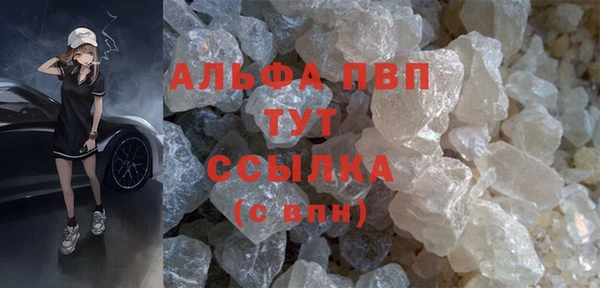 сатива Каменка