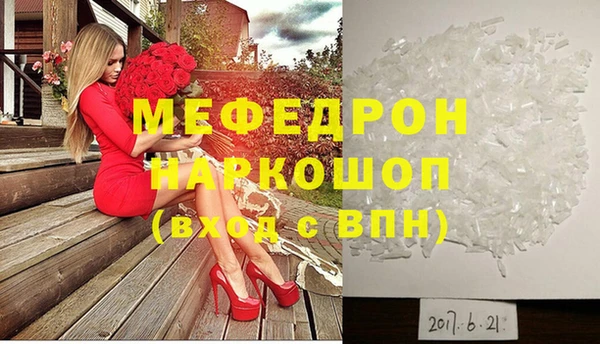 сатива Каменка