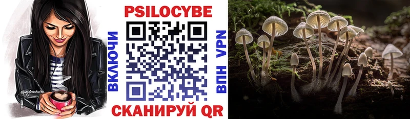 Псилоцибиновые грибы мицелий Лосино-Петровский