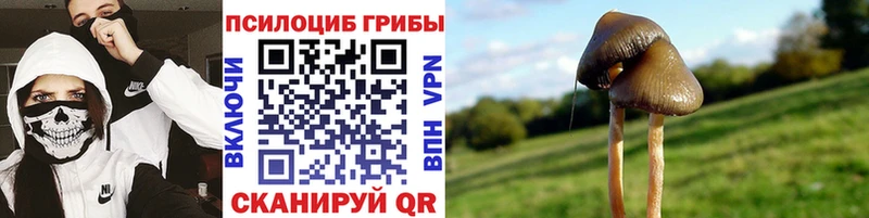 Галлюциногенные грибы MAGIC MUSHROOMS  Купить  Лосино-Петровский 